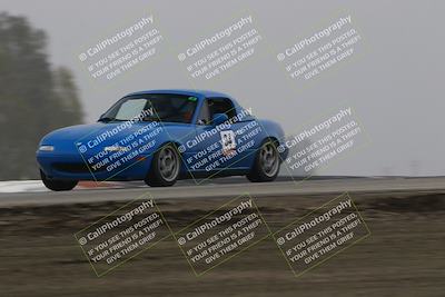 media/Nov-28-2025-Speed SF (Fri) [[b9fcb3577c]]/Blue/Session 2 (Grapevine)/